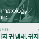 더 포레 동물병원 이미지