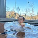 까미노데플로레스타2 이미지