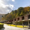 강촌청소년수련원 이미지