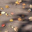 상윤목장 | [웰니스 컬리지 7기]웰니스컬리지 3박4일 오프라인 교육&amp;수료 후기_2편