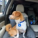 천하농장 이미지