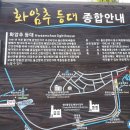 울산 401번 버스노선표 이미지