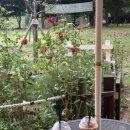 지에스25 그랑힐스청천 | 10월:)🍀