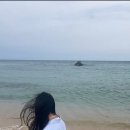힐링 이미지