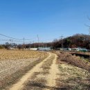 율곡천 7 이미지