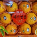 신선청과 이미지