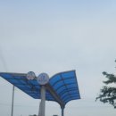 펫클럽 양정점 이미지