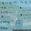 배건너는집 Daum카페