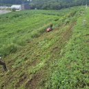 농어촌공사(경북지역본부) | 한국농어촌공사 경북본부, 무인 광역제초기로 저수지 안전사고 예방 나서