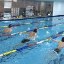 하비엘럭스 이미지