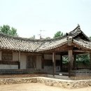 하정제 네이버블로그