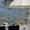 죽변막회 맛집 식당 이미지