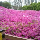 양지-3560 이미지