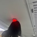 대현정육점 | 오랜만입니다