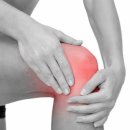 지웰비타민약국 이미지