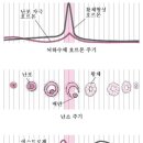 파마트삼보약국 이미지
