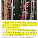 영바디짐 이미지