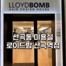 산곡역 | 산곡동미용실 로이드밤 산곡역점 남자 세미울프컷 후기