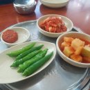 제주본토박이 이미지