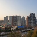 판암초등학교 | 대전 분양권 투자 후기(용운동 e편한세상 에코포레)
