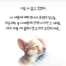 원종동물병원 이미지