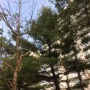 ㈜우리운송 이미지