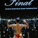 하파휘트니스 이미지