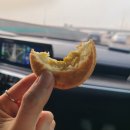 궁전제과 | 광주 1박2일 여행_평화식당 애호박찌개, 궁전제과 공룡알빵 솔직후기