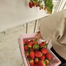 명심농장 이미지