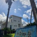 제주마중in판포 네이버블로그