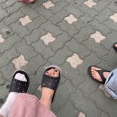 윤앤솔
