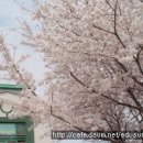 해바라기어린이집마당 이미지