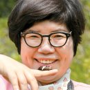 한국곤충연구소 이미지
