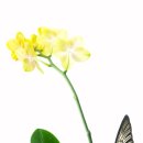 나비모텔 이미지