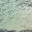 네잎클로버민박 이미지