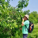 평화7길 이미지