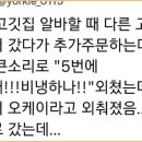 포인트약국 Daum카페