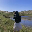 세원목장 | JEJU 제주동쪽 서귀포 1일차 [애월카페거리, 금오름, 성이시돌목장, 올레야시장]🍊