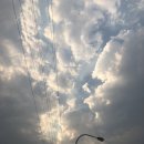 박싱캐리어