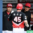 위즈덤 스포츠조선