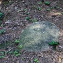 만세교리 태봉 이미지