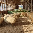 만실목장 이미지