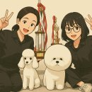 해피그루밍 | [해피그루밍 애견미용 컨테스트 참가 후기 -퀸애견미용학원 위그 부문 푸들과 비숑으로 좋은 성적...