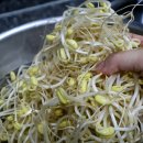 황토시루 이미지