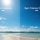 무태스포츠 이미지