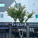 광산-하남-광산-71 이미지