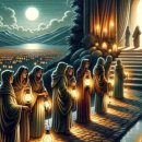 2024-주219 이미지