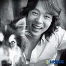 스타견 이미지