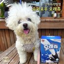 덴탈K | 강아지덴탈껌 슈퍼포우오래츄 알러지 걱정없는 코스트코 개껌