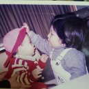 냥이 이발소 | 기절쌈바리